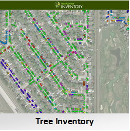 Tree Inventory Button