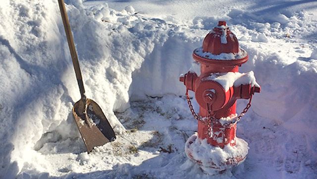 Adopt-A-Hydrant2022